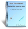 Thumbnail Twitter and wordpress traffic generation