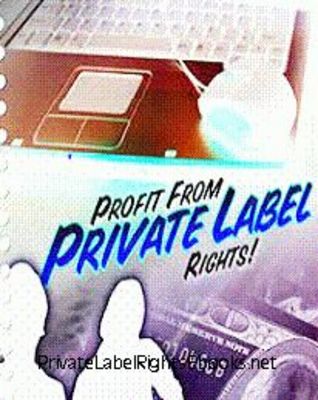 Product picture Earn Money From PLR